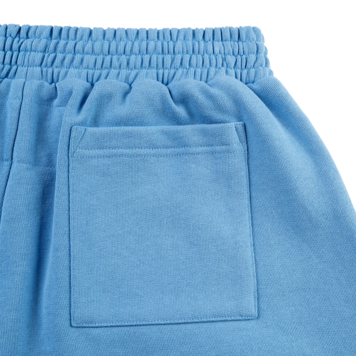 DUSTY BLUE OG WEB V2 SWEATSHORT