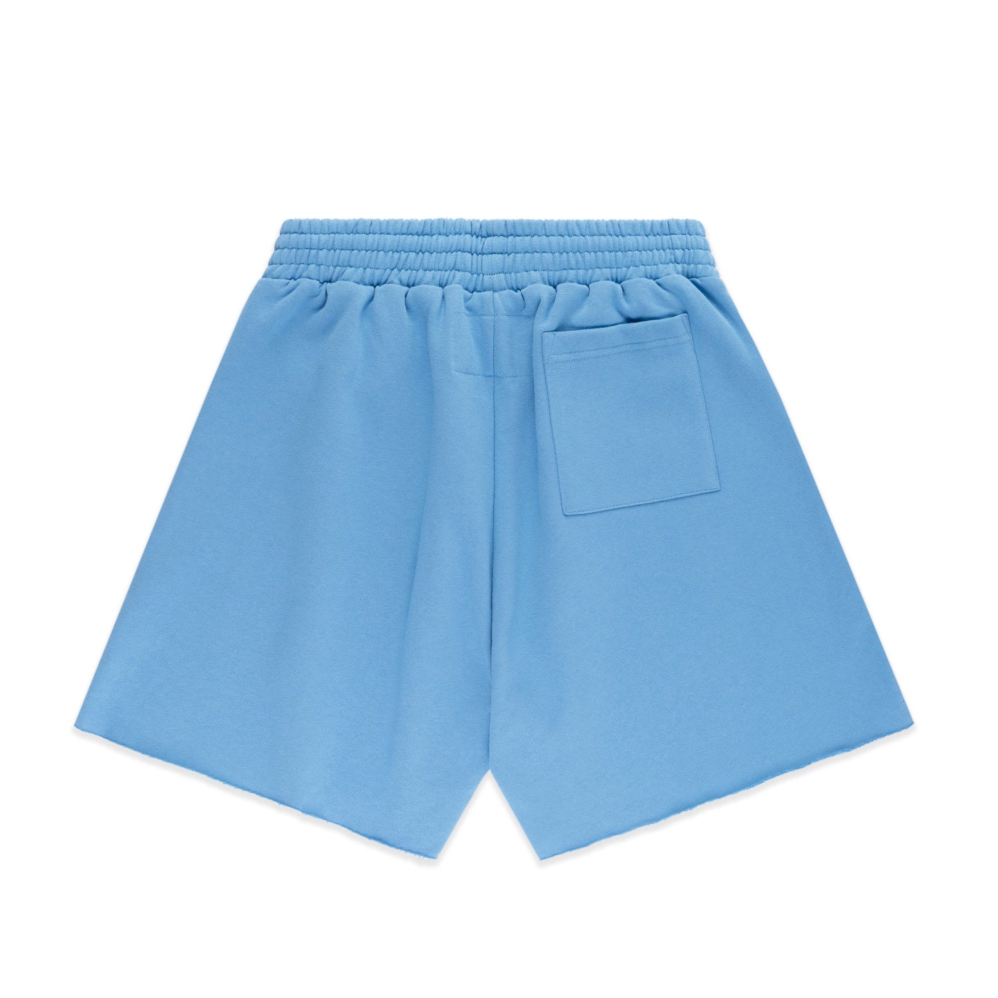 DUSTY BLUE OG WEB V2 SWEATSHORT
