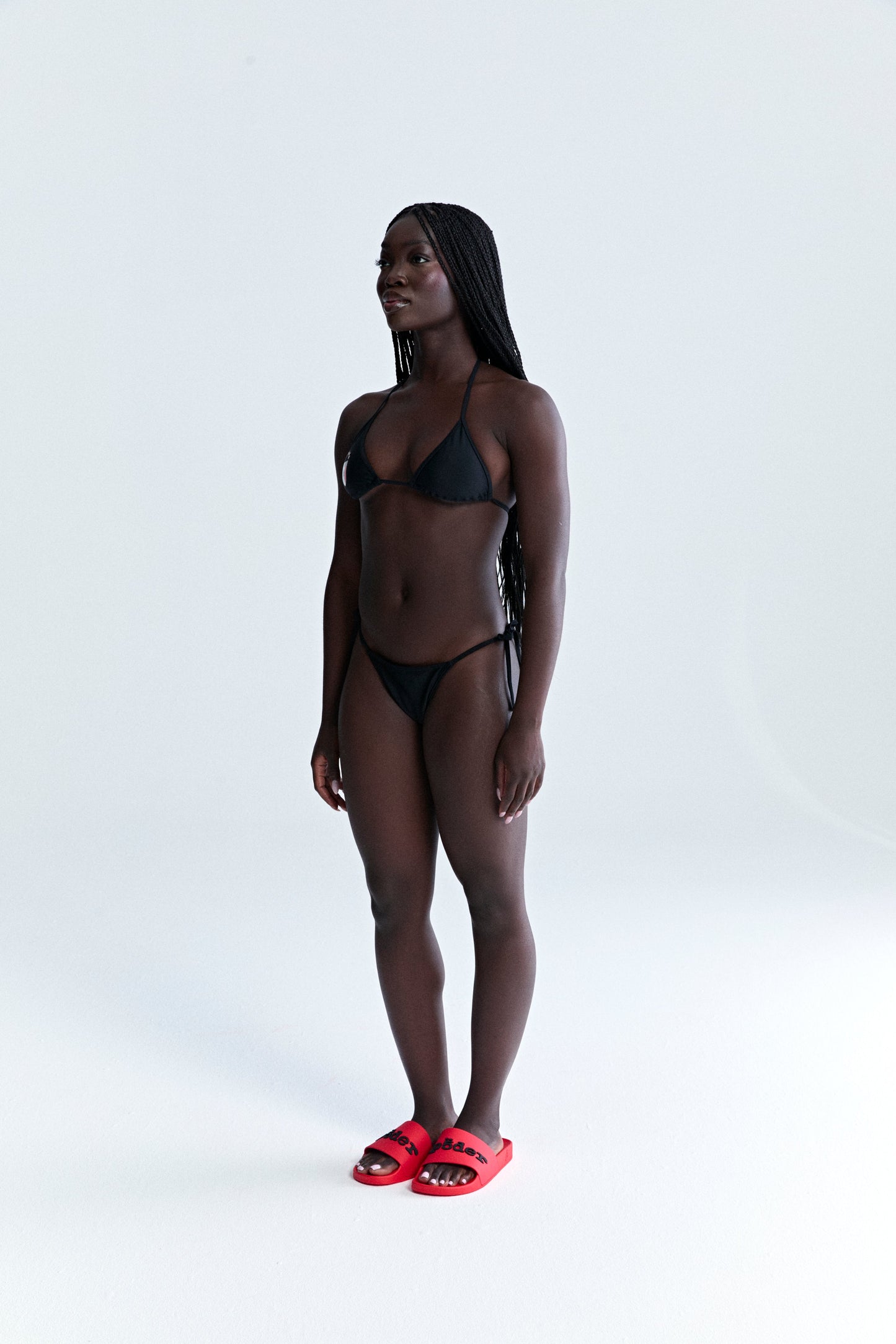 ARAIGNÉE BIKINI