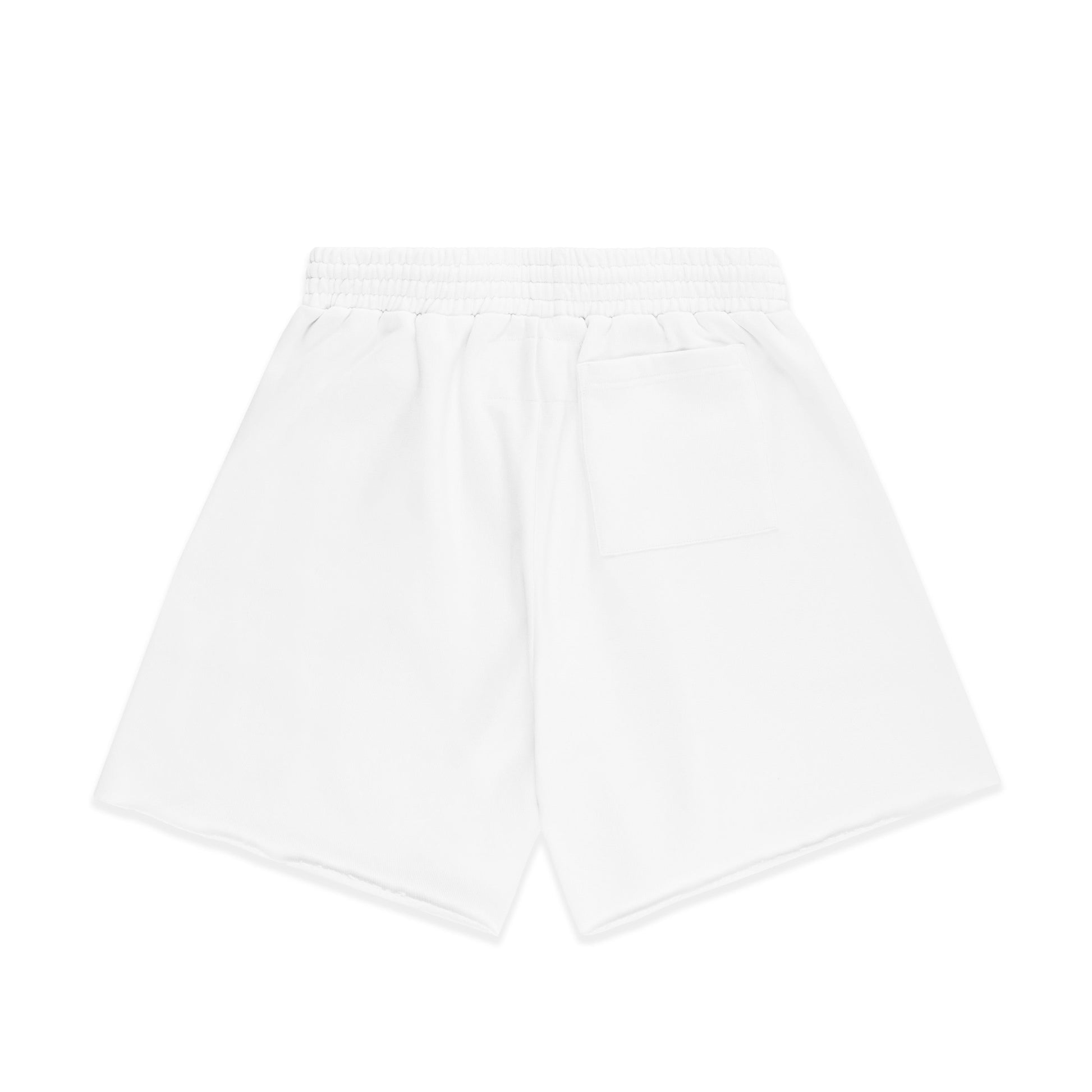 WHITE OG WEB V2 SWEATSHORT