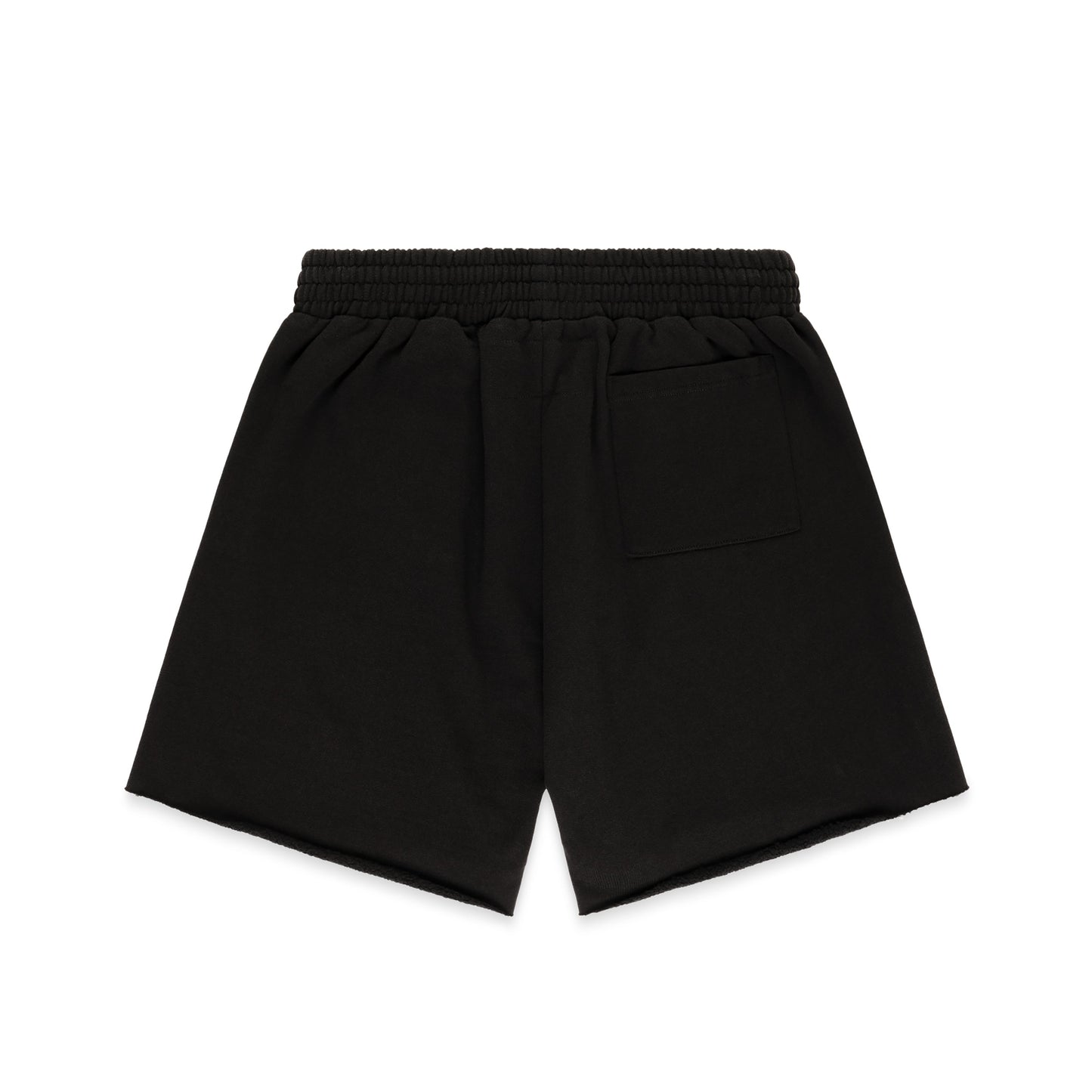BLACK OG WEB V2 PHANTOM SWEATSHORT