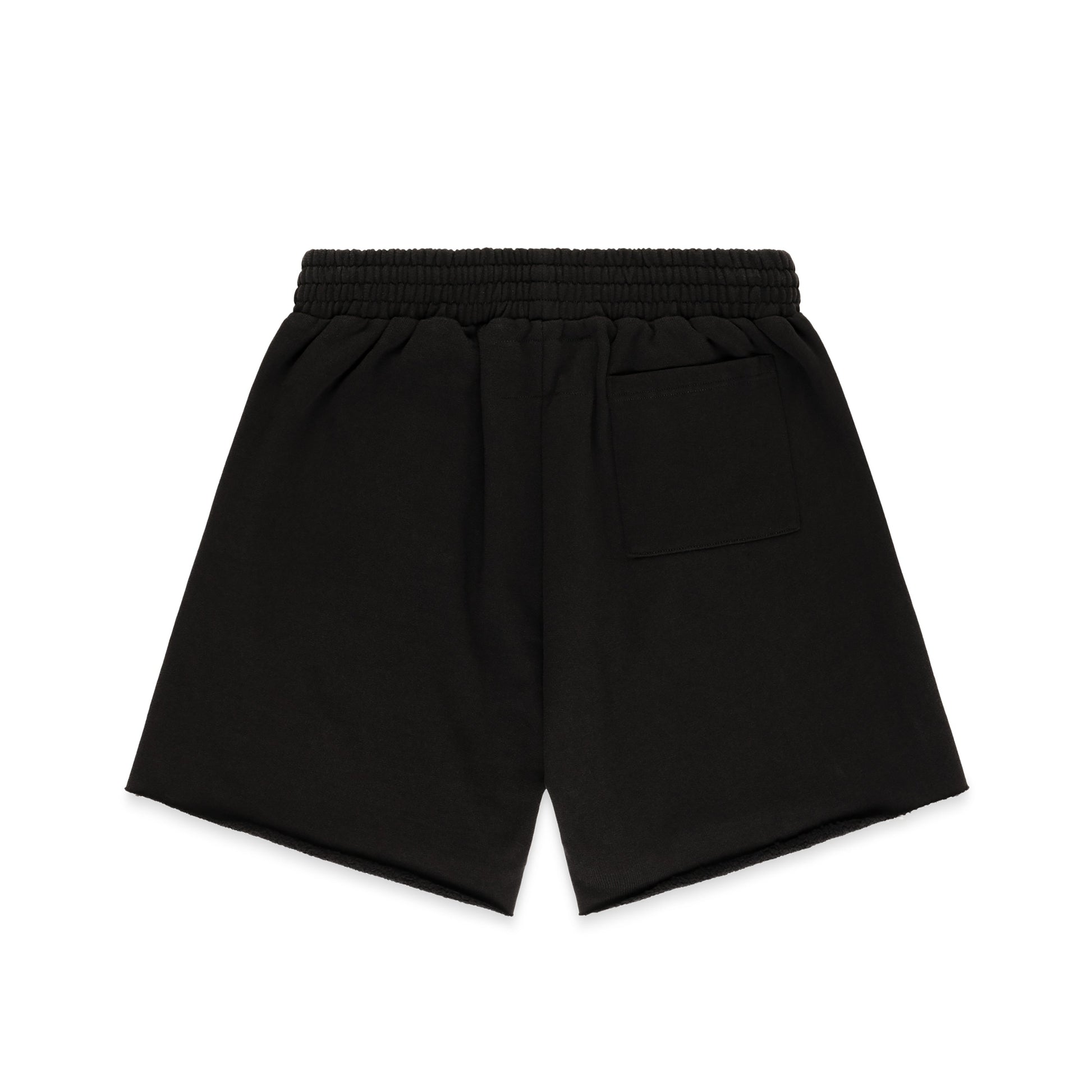 BLACK OG WEB V2 PHANTOM SWEATSHORT