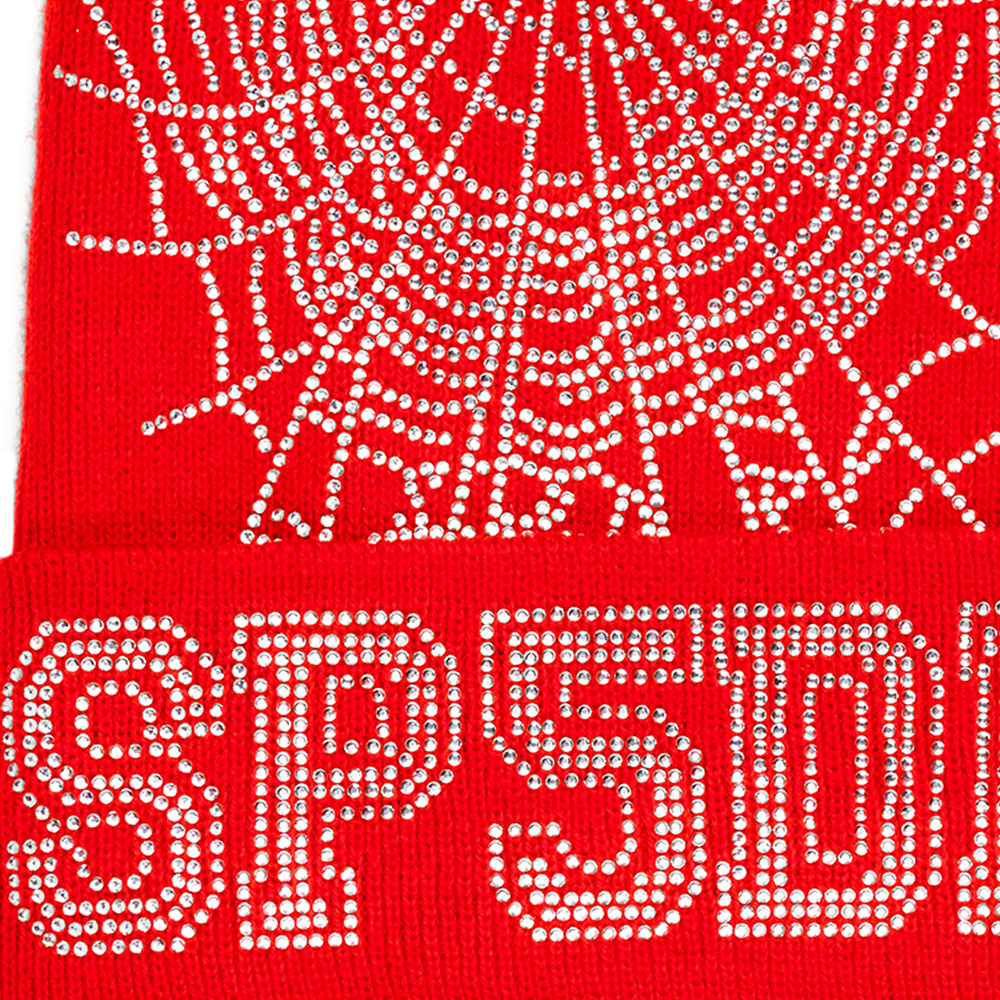 WEB BEANIE