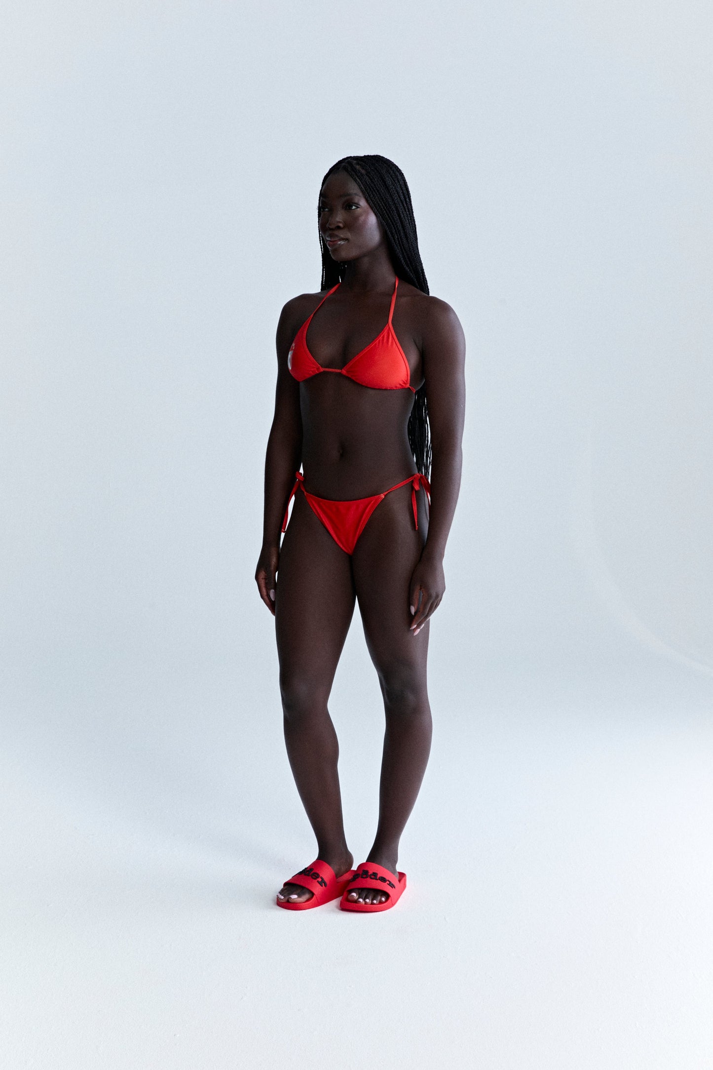 ARAIGNÉE BIKINI