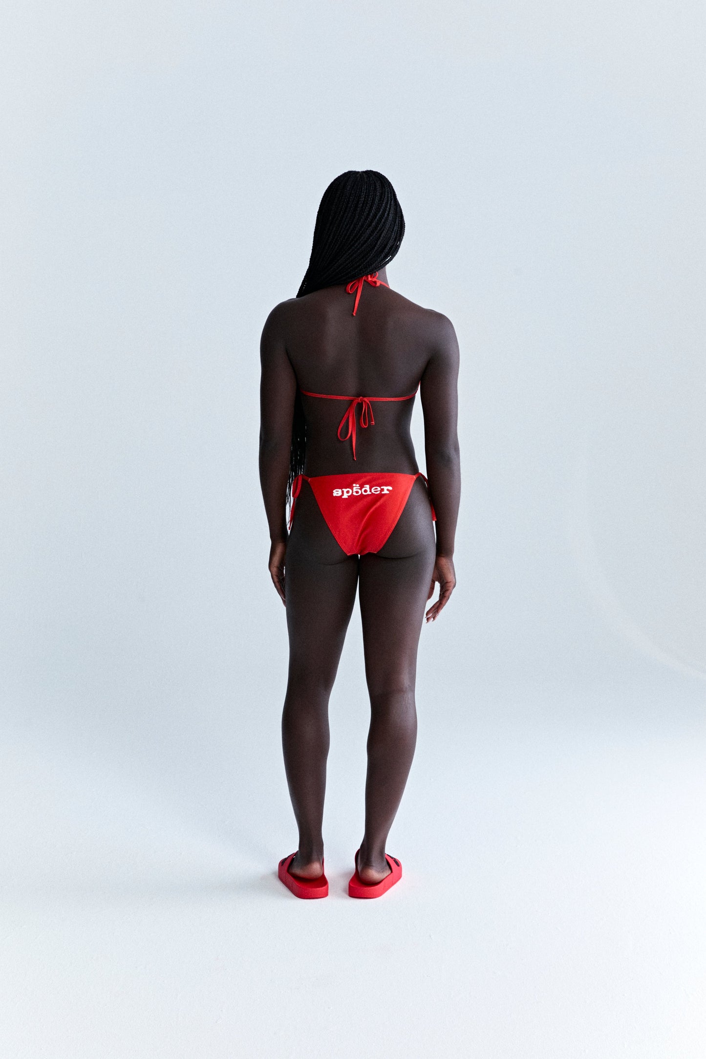 ARAIGNÉE BIKINI
