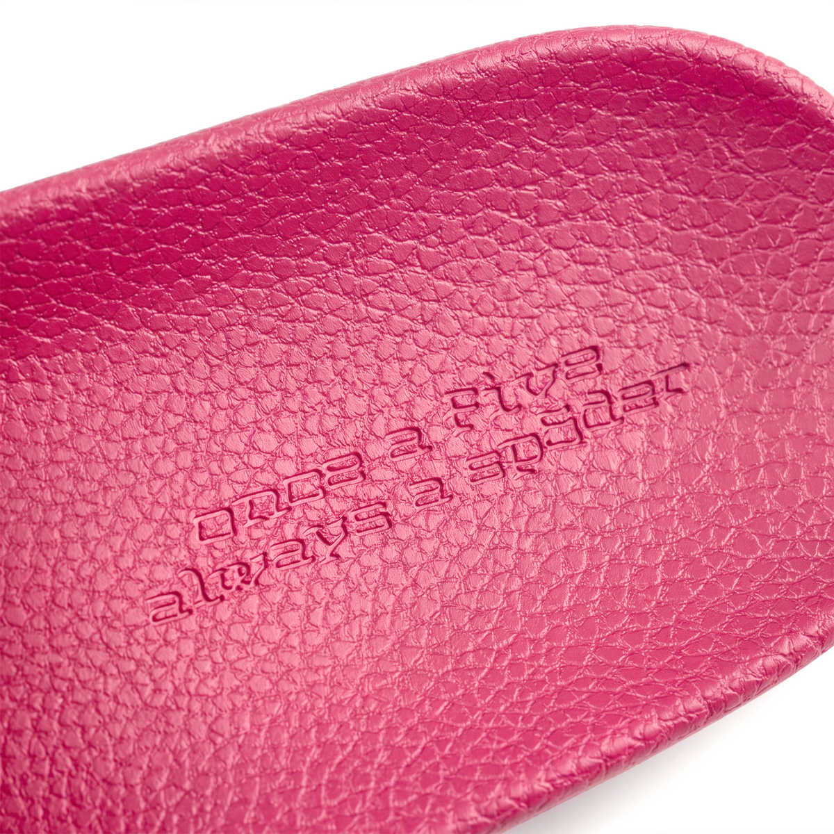 DIABLO PINK SLIDE 001