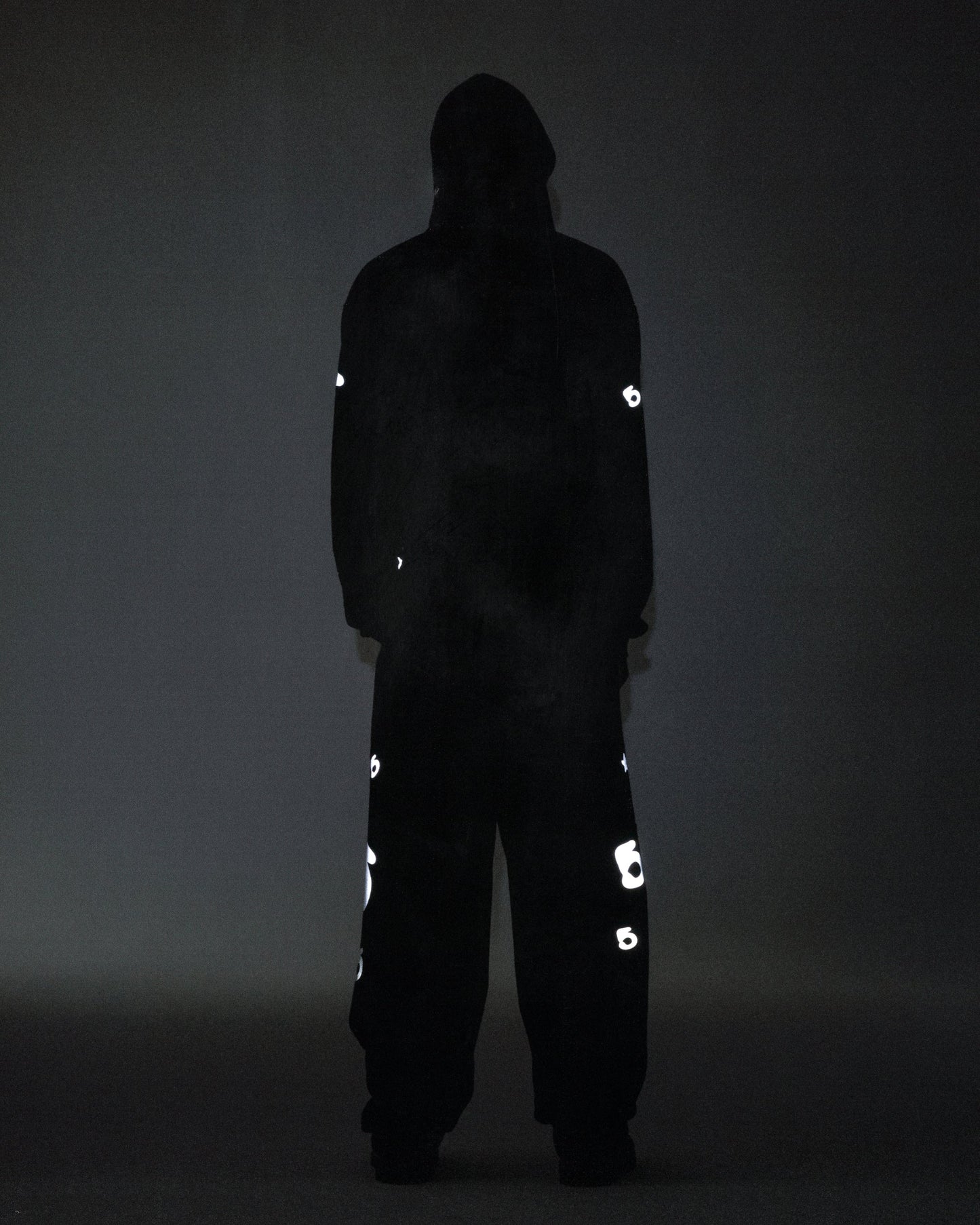 REFLECTIVE BELUGA HOODIE