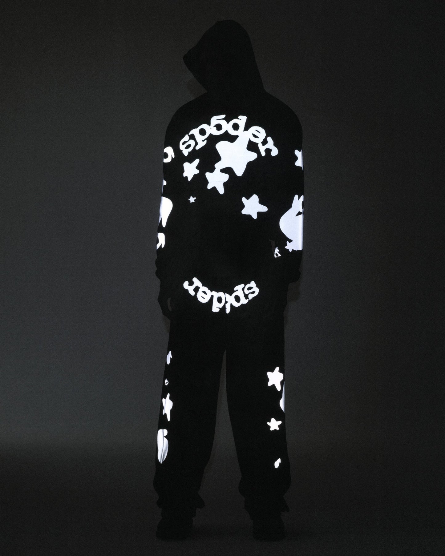 REFLECTIVE BELUGA HOODIE